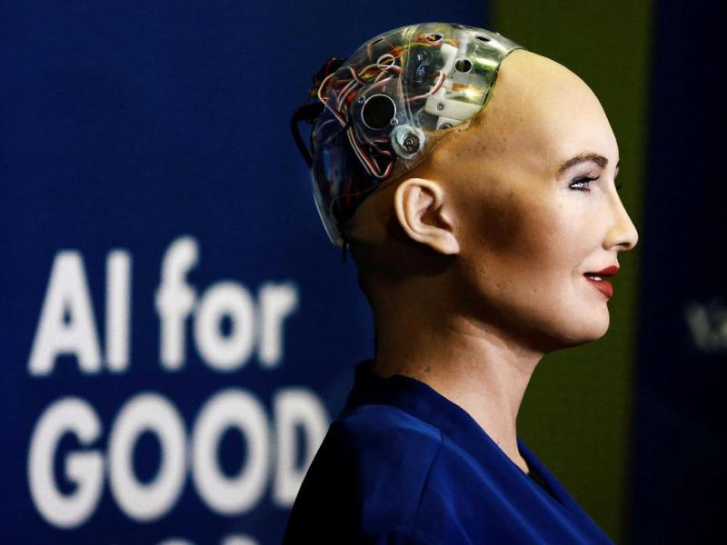 Robotics : The human creature                                                          by Piyush&nbsp;Suneja